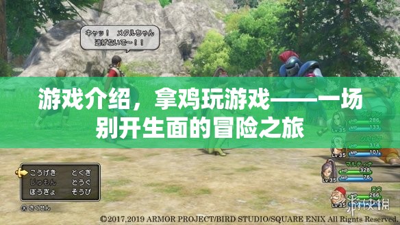 拿雞玩游戲，開啟一場別開生面的冒險之旅