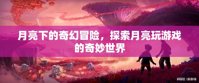 月亮下的奇幻冒險(xiǎn)，探索月亮玩游戲的奇妙世界