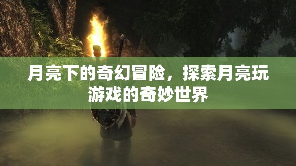 月亮下的奇幻冒險(xiǎn)，探索月亮玩游戲的奇妙世界