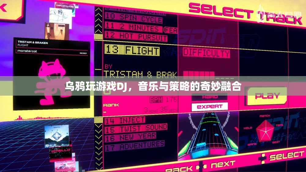 烏鴉玩游戲DJ，音樂與策略的完美碰撞
