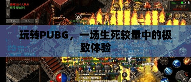 PUBG，生死較量中的極致游戲體驗(yàn)