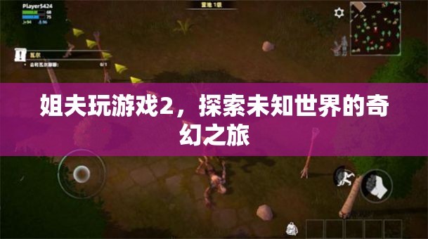 姐夫玩游戲2，奇幻之旅探索未知世界