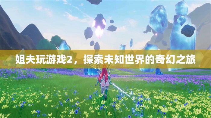 姐夫玩游戲2，奇幻之旅探索未知世界
