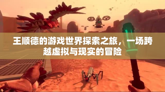 王順德，游戲世界探索之旅，虛擬與現(xiàn)實(shí)的冒險(xiǎn)