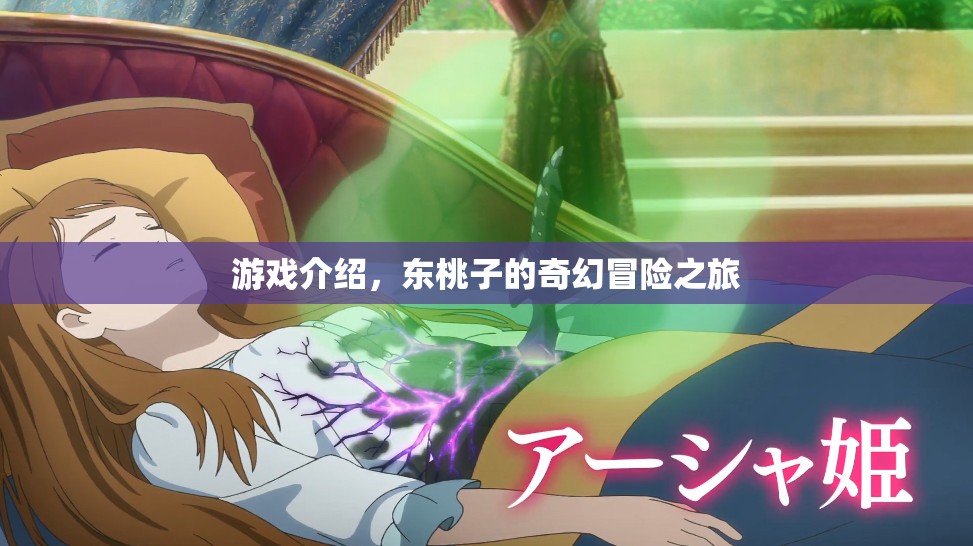 東桃子的奇幻冒險之旅，一場精彩絕倫的游戲之旅