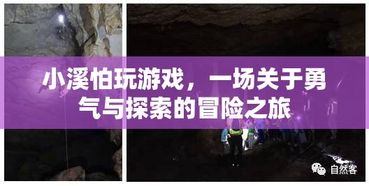 小溪的冒險(xiǎn)，一場(chǎng)關(guān)于勇氣與探索的旅程