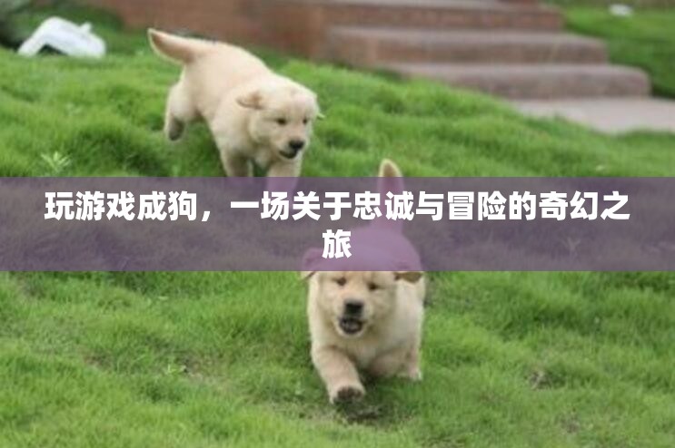 忠誠與冒險的奇幻之旅，游戲人生