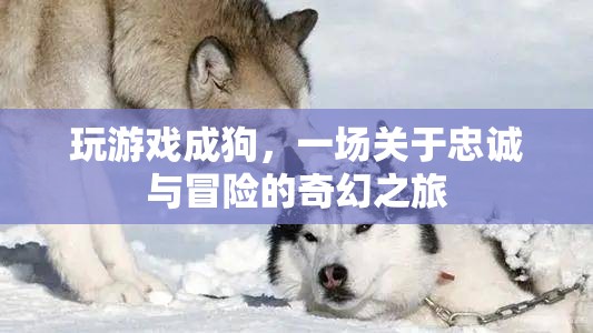 忠誠與冒險的奇幻之旅，游戲人生