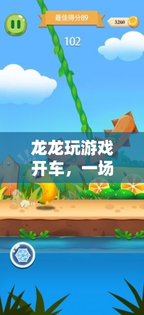 龍龍的游戲開車冒險(xiǎn)之旅