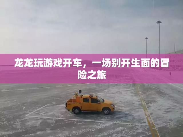 龍龍的游戲開車冒險(xiǎn)之旅
