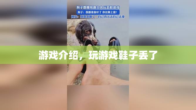 玩游戲竟導致鞋子丟失？揭秘游戲背后的奇妙故事
