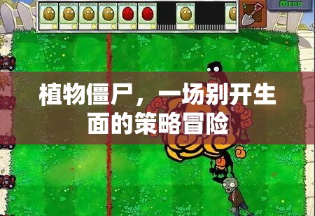 植物僵尸，策略冒險新體驗(yàn)