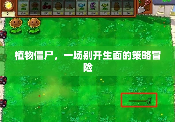 植物僵尸，策略冒險新體驗(yàn)