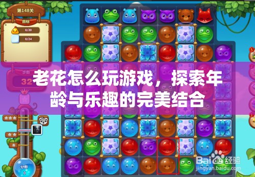 老花也能玩轉(zhuǎn)游戲，探索年齡與樂趣的完美結(jié)合