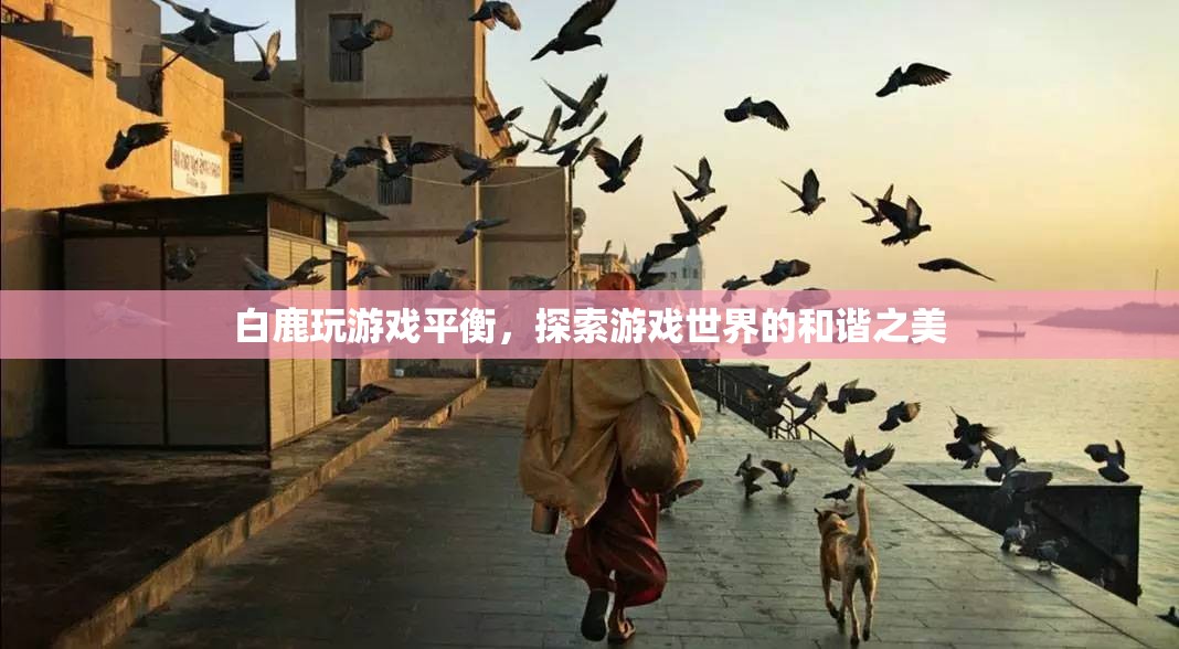 白鹿游戲平衡，探索和諧之美