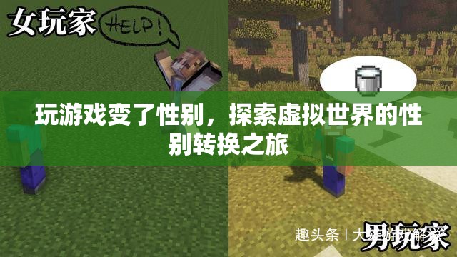 虛擬世界中的性別轉(zhuǎn)換，探索游戲里的性別變換之旅