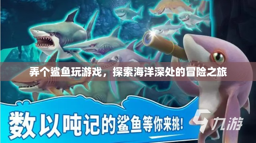 探索海洋深處的冒險之旅，鯊魚帶你玩游戲
