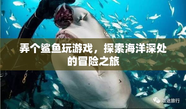 探索海洋深處的冒險之旅，鯊魚帶你玩游戲