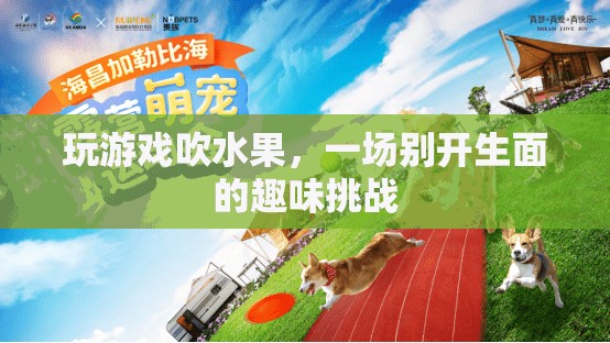 游戲里的水果大挑戰(zhàn)，一場別開生面的趣味比拼