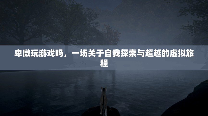 卑微玩游戲嗎，一場(chǎng)自我探索與超越的虛擬旅程