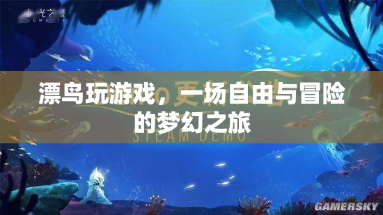 漂鳥(niǎo)玩游戲，一場(chǎng)夢(mèng)幻之旅的冒險(xiǎn)與自由