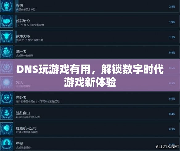 DNS解鎖數(shù)字時代游戲新體驗