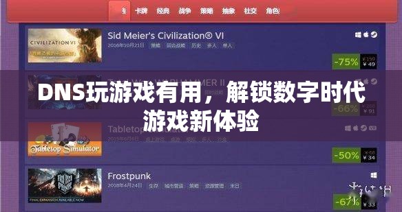 DNS解鎖數(shù)字時代游戲新體驗
