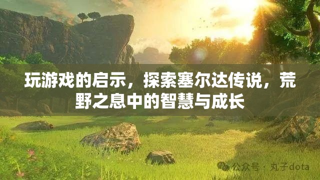 塞爾達傳說，荒野之息中的智慧與成長啟示