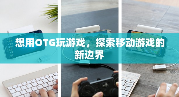 OTG技術(shù)開啟移動(dòng)游戲新紀(jì)元