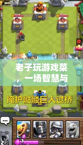 一場智慧與樂趣并存的冒險之旅