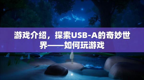 探索USB-A的奇妙世界，游戲指南