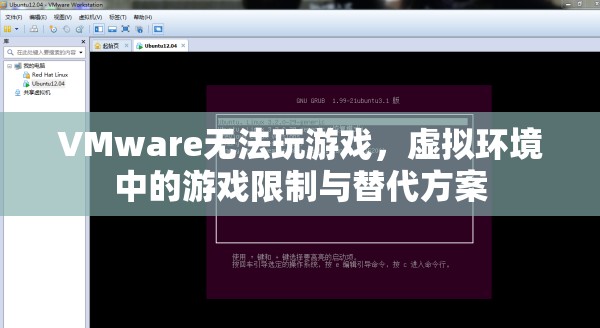 VMware虛擬環(huán)境中游戲限制與替代方案探索