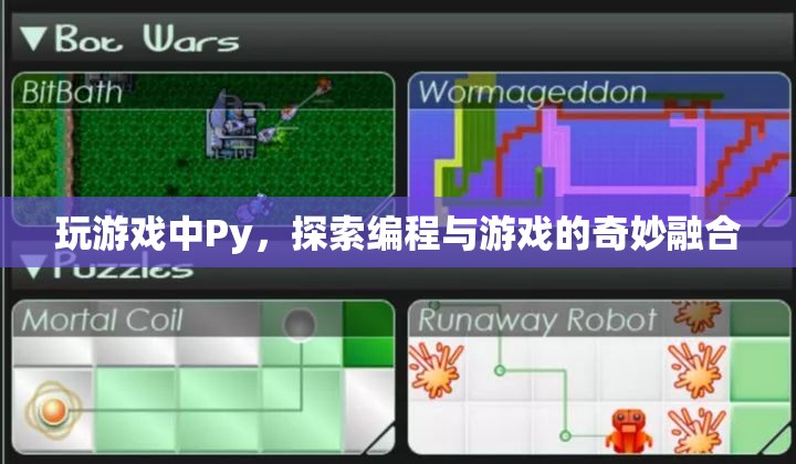 Py游戲探索，編程與游戲的奇妙融合