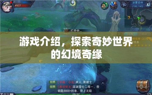 幻境奇緣，探索奇妙世界的冒險之旅