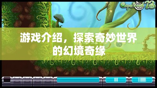 幻境奇緣，探索奇妙世界的冒險之旅