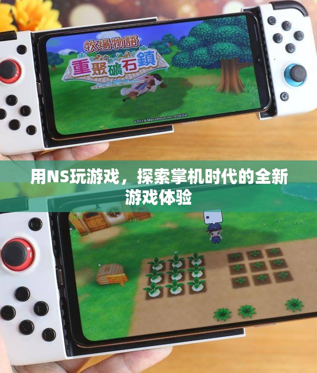 NS掌機(jī)，探索全新游戲體驗(yàn)