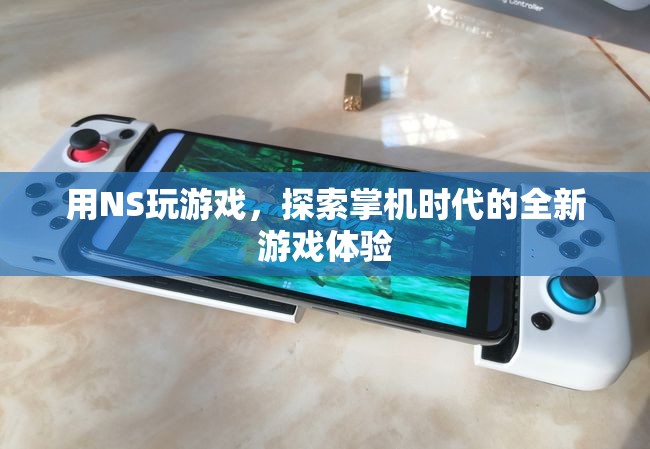 NS掌機(jī)，探索全新游戲體驗(yàn)