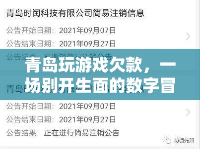 青島玩游戲欠款，一場(chǎng)數(shù)字時(shí)代的冒險(xiǎn)之旅