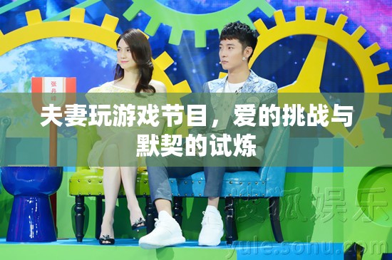 愛的挑戰(zhàn)，夫妻共赴游戲節(jié)目，默契試煉之旅