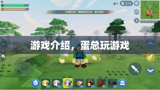 蛋總的游戲之旅，探索未知，挑戰(zhàn)自我