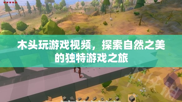 探索自然之美，木頭玩游戲的獨特之旅