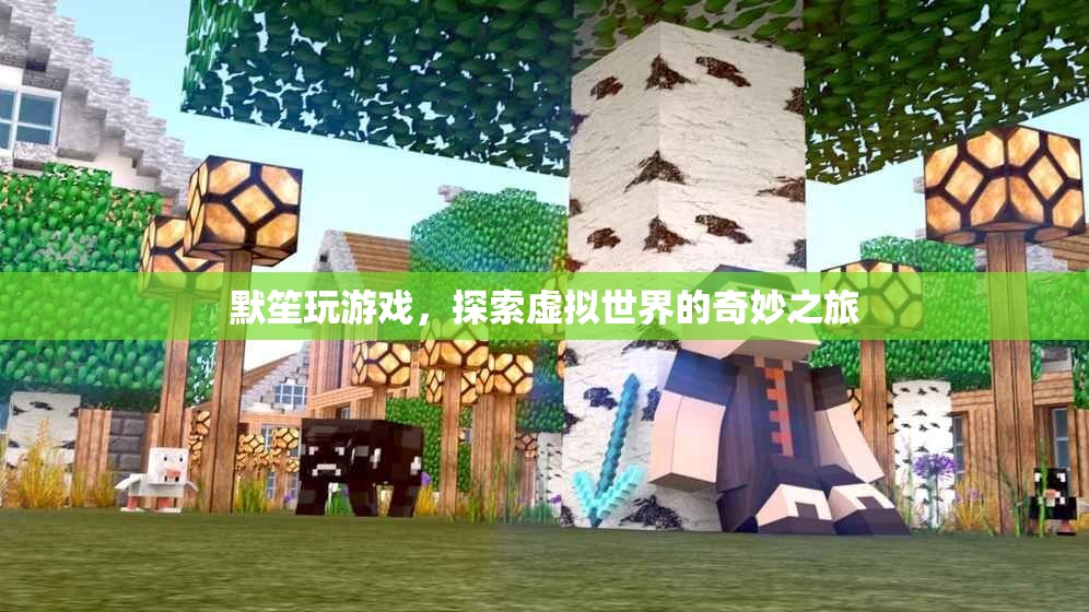 默笙的虛擬世界奇妙之旅  第1張