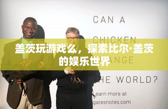 探索比爾·蓋茨的娛樂世界，游戲愛好者還是其他愛好？