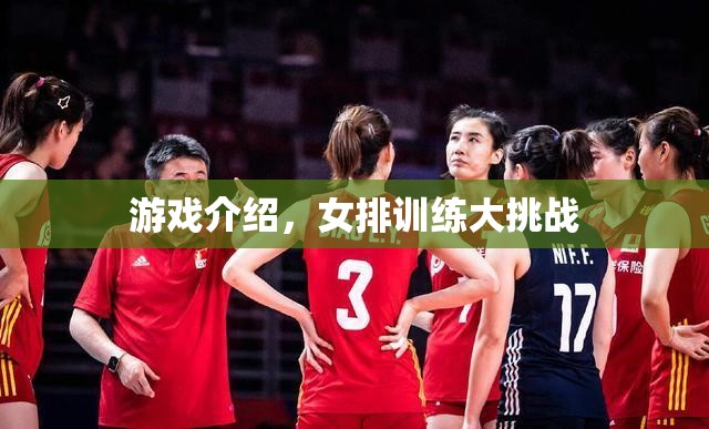 女排訓(xùn)練大挑戰(zhàn)，挑戰(zhàn)極限，提升技能