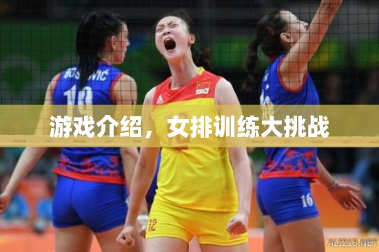 女排訓(xùn)練大挑戰(zhàn)，挑戰(zhàn)極限，提升技能