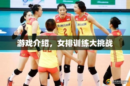 女排訓(xùn)練大挑戰(zhàn)，挑戰(zhàn)極限，提升技能