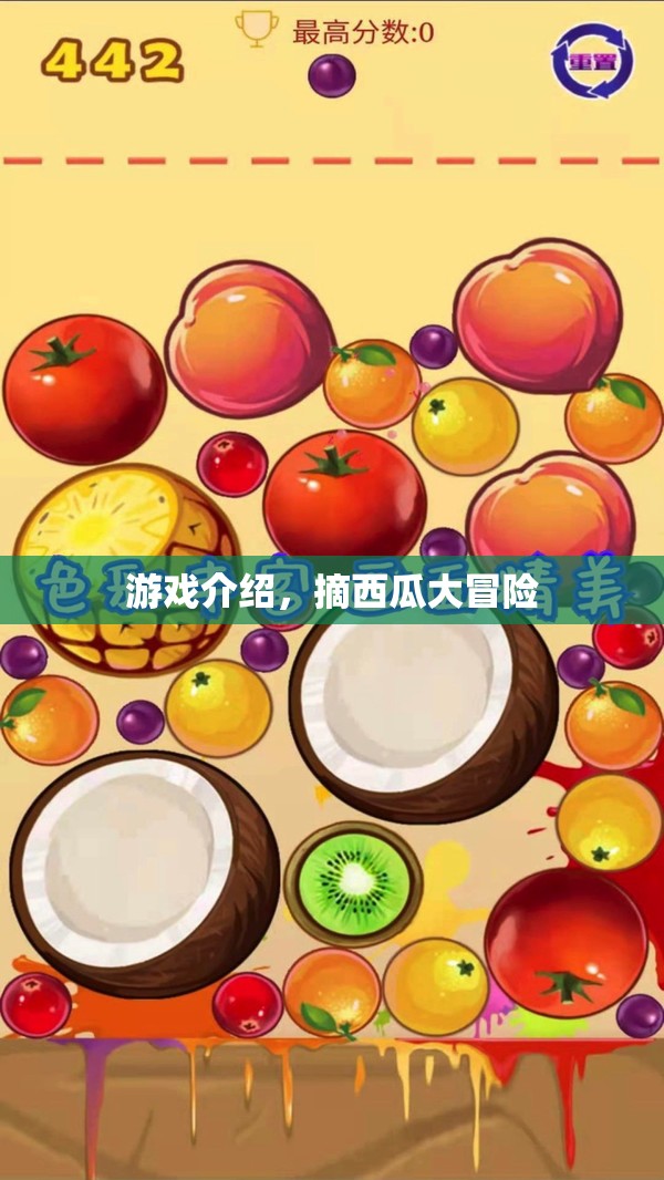 摘西瓜大冒險(xiǎn)，趣味橫生的冒險(xiǎn)之旅