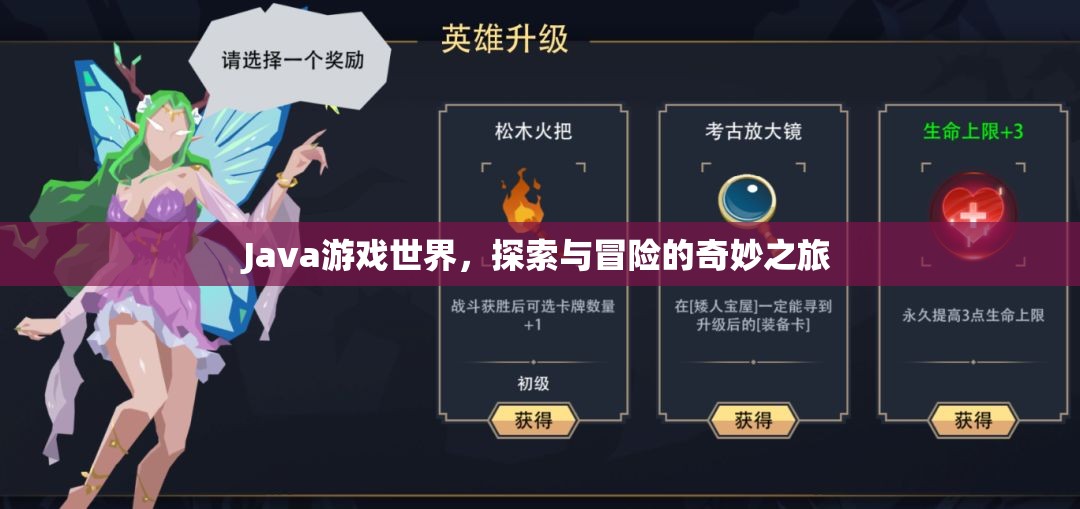 Java游戲世界，探索與冒險的奇妙之旅