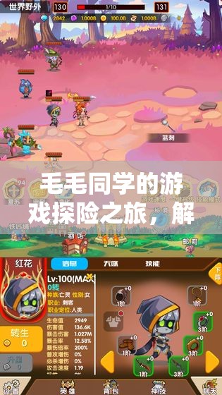 毛毛同學(xué)解鎖數(shù)字世界的無限可能
