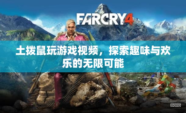 土撥鼠玩游戲，探索趣味與歡樂的無限可能